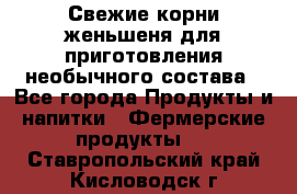 Свежие корни женьшеня для приготовления необычного состава - Все города Продукты и напитки » Фермерские продукты   . Ставропольский край,Кисловодск г.